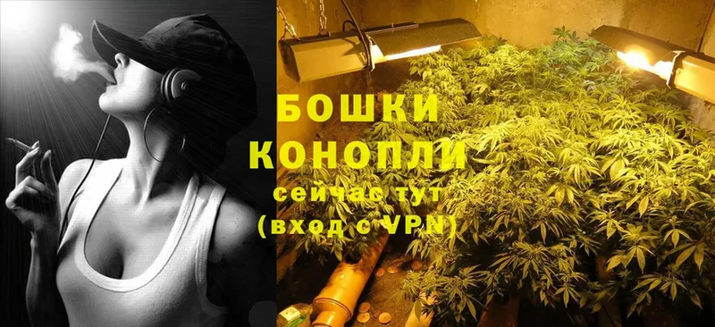 Каннабис THC 21%  Болхов 